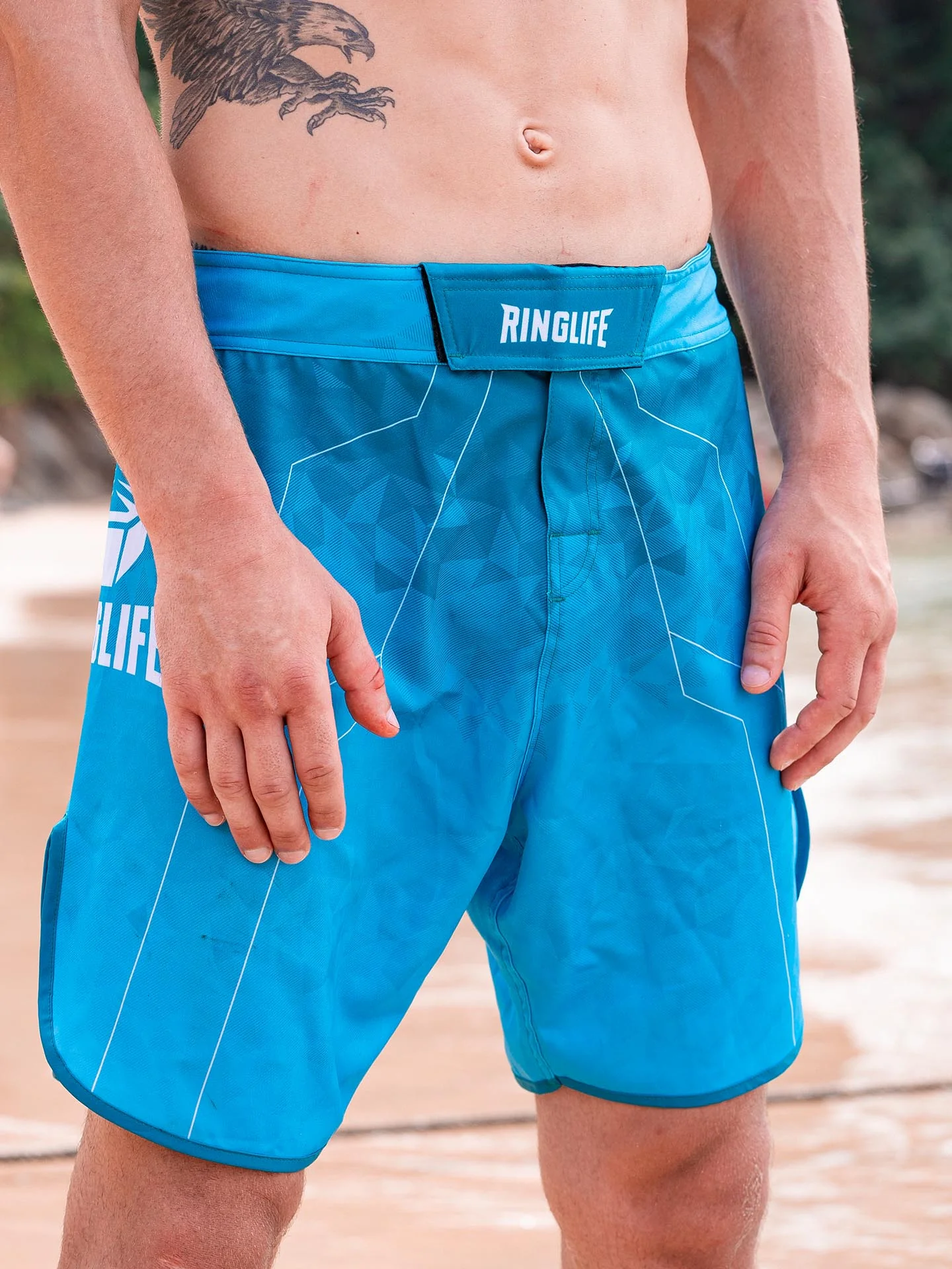 RINGLIFE MMA Shorts - Transition grün-blau - Image 5