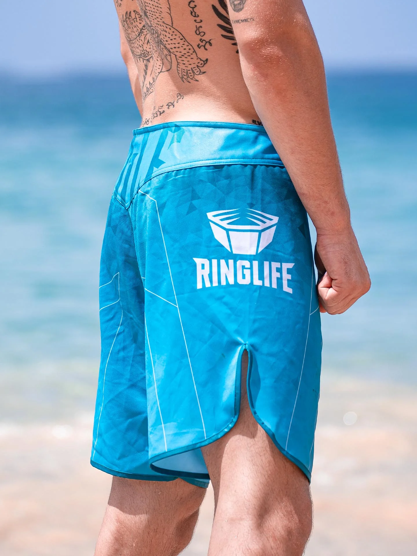 RINGLIFE MMA Shorts - Transition grün-blau - Image 7