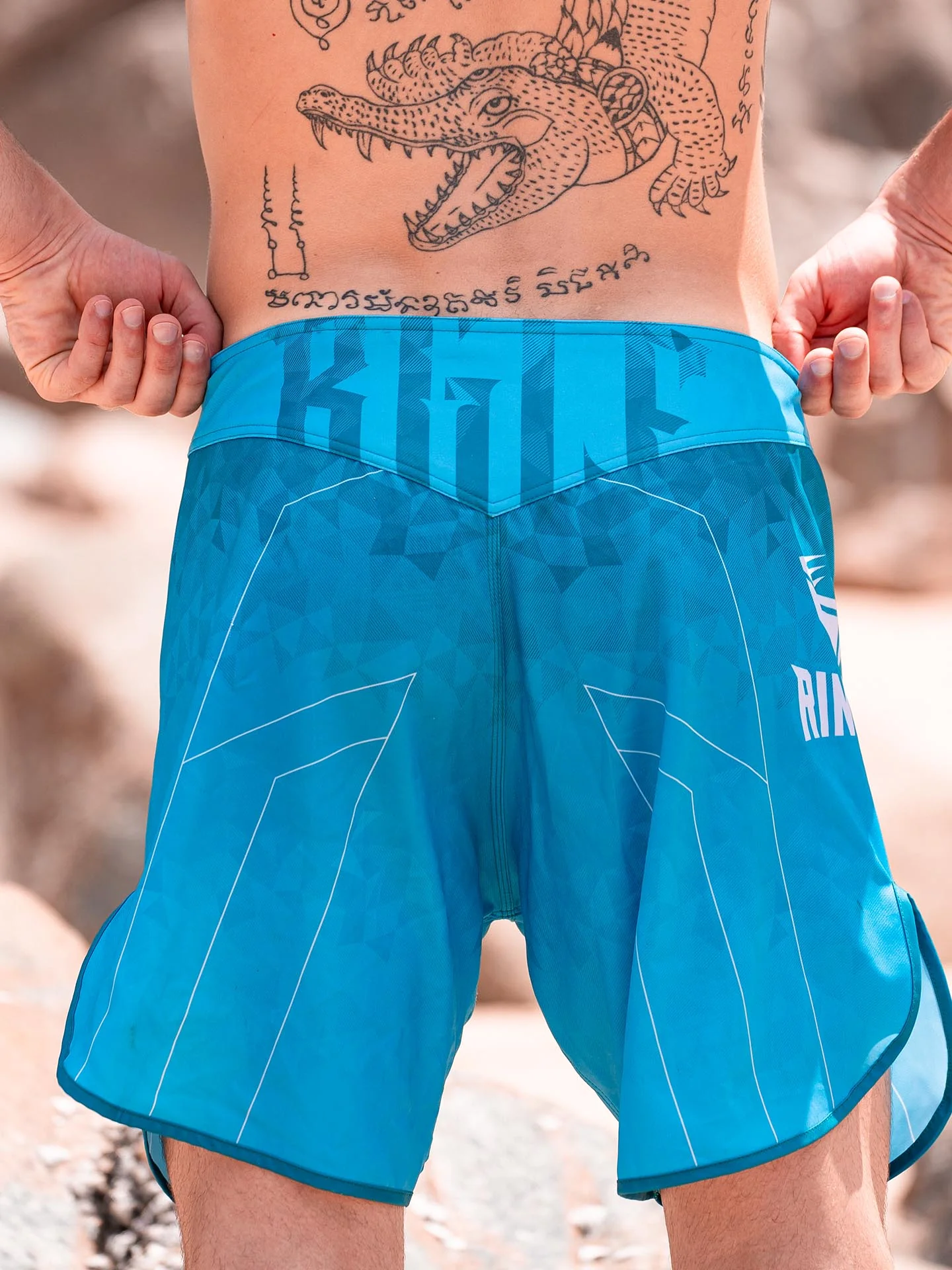 RINGLIFE MMA Shorts - Transition grün-blau - Image 8