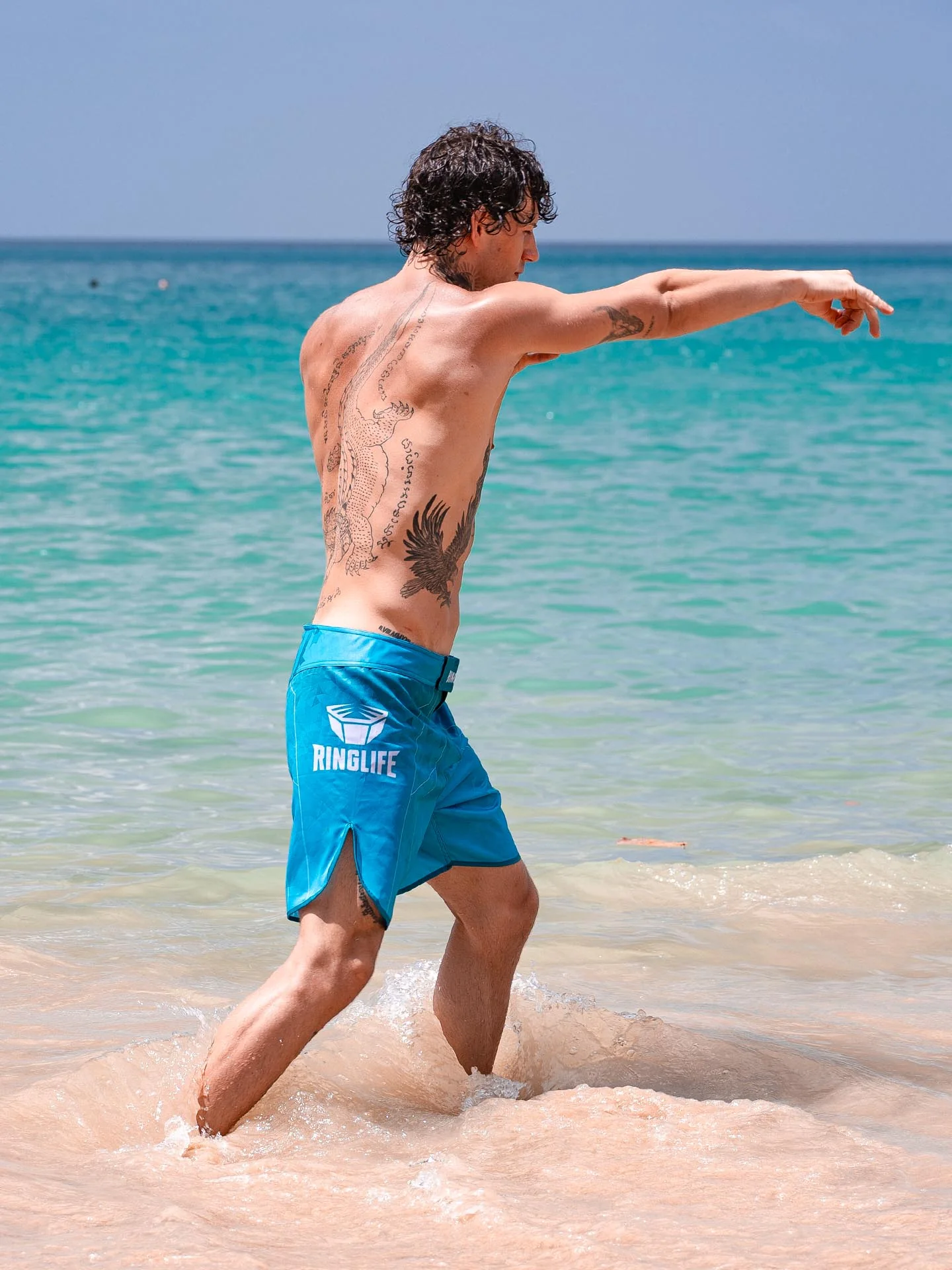 RINGLIFE MMA Shorts - Transition grün-blau - Image 9
