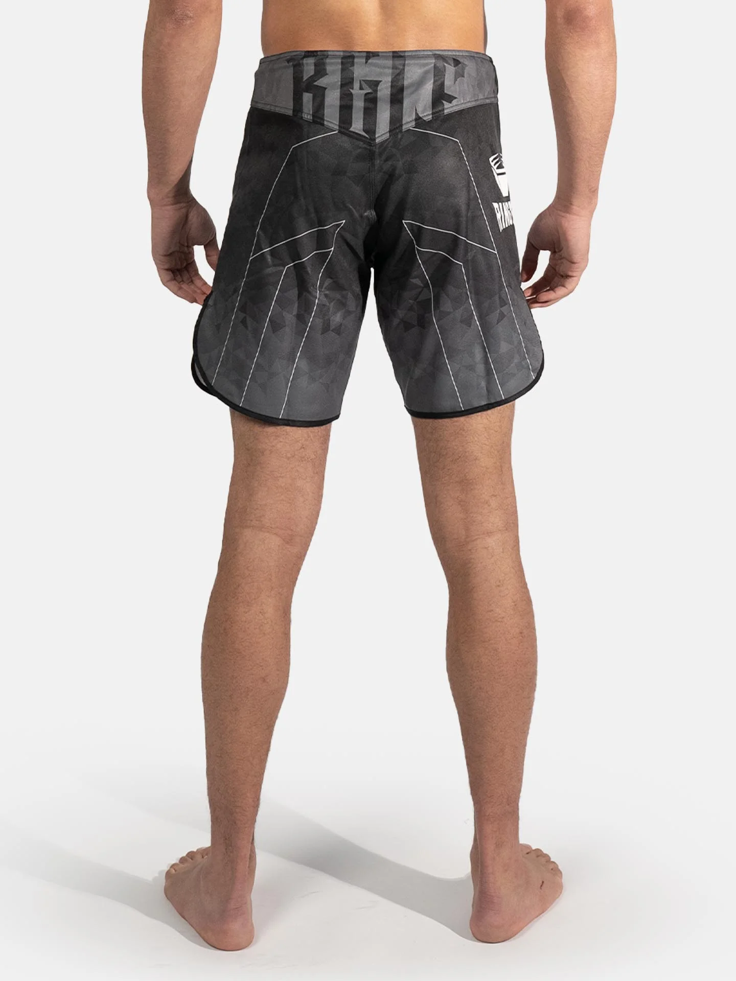RINGLIFE MMA Shorts - Transition schwarz-grau - Image 3