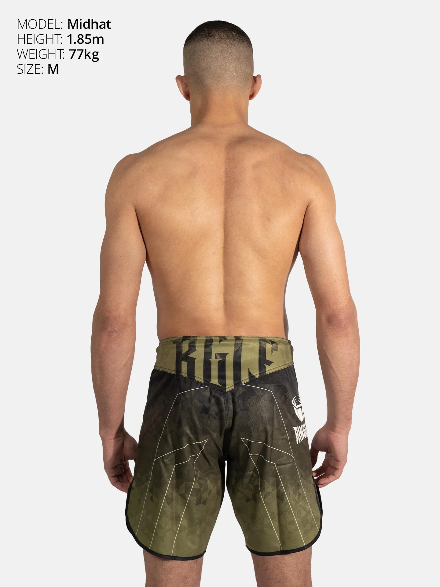RINGLIFE MMA Shorts - Transition schwarz-grün - Image 5
