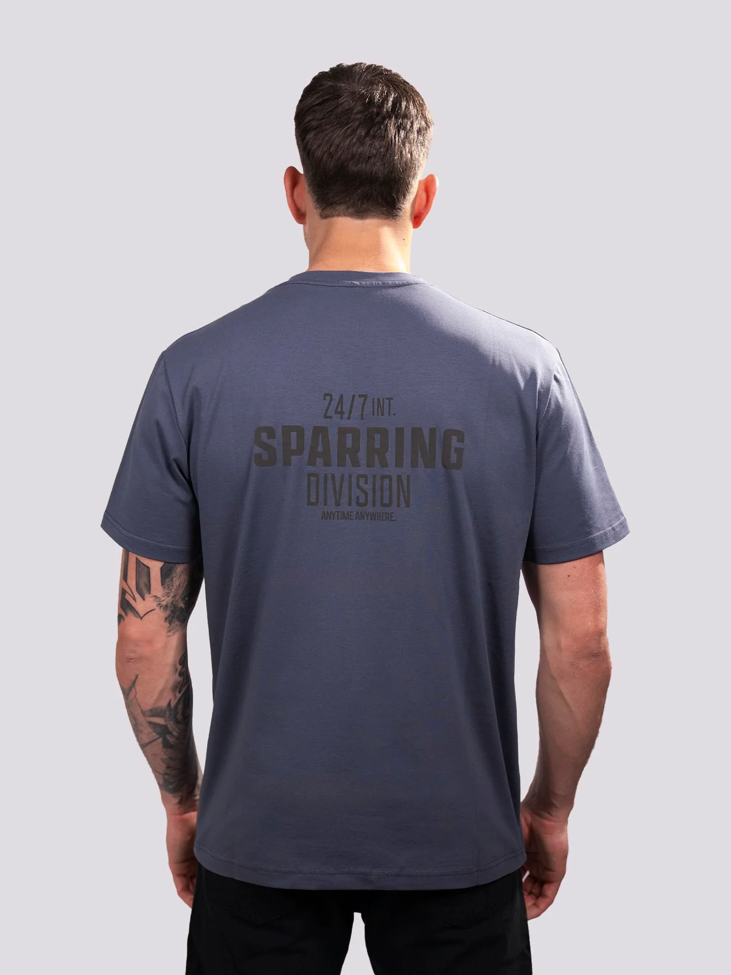 RINGLIFE T-Shirt, Sparring Division, grau - Image 3