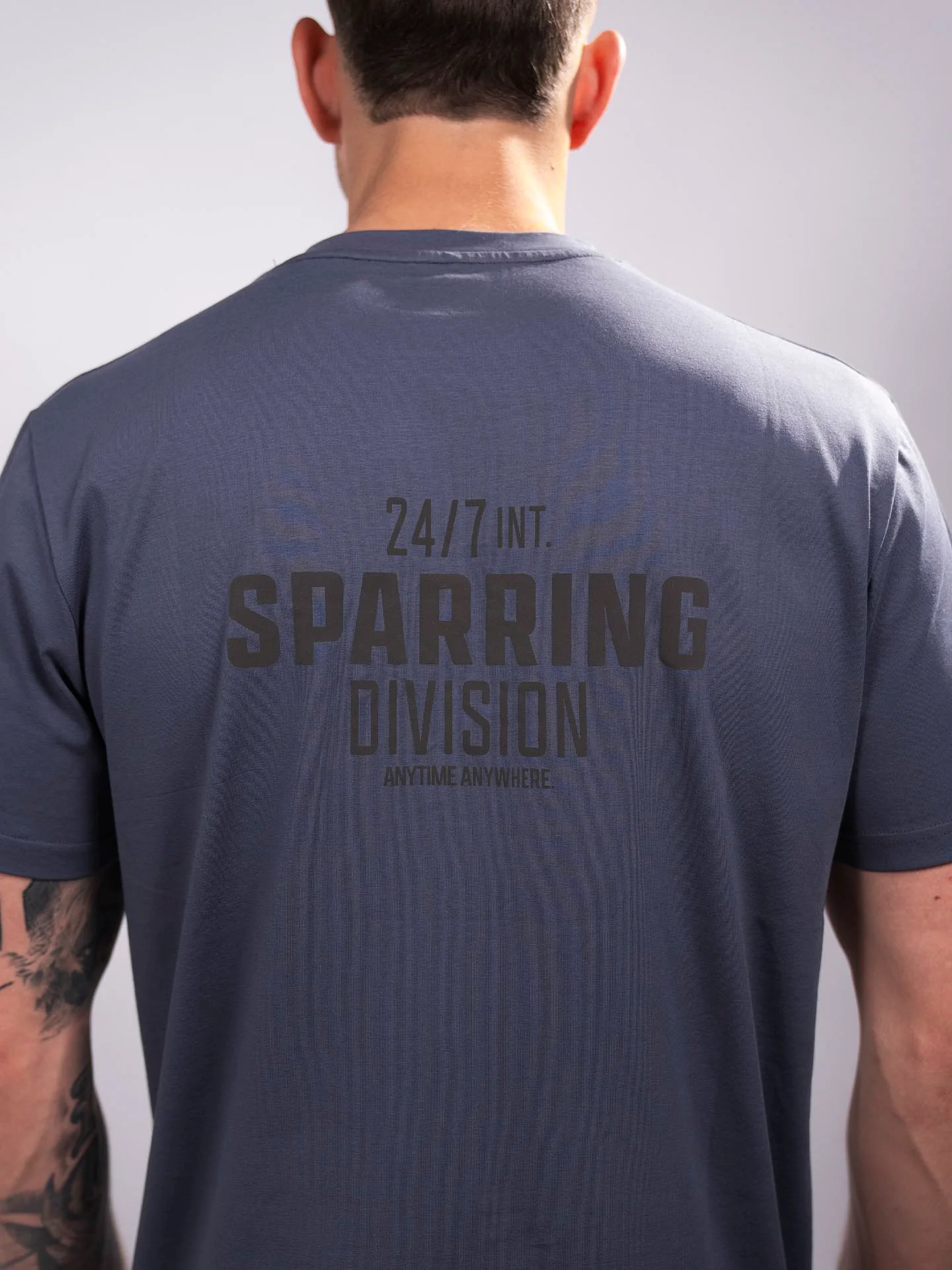 RINGLIFE T-Shirt, Sparring Division, grau - Image 5
