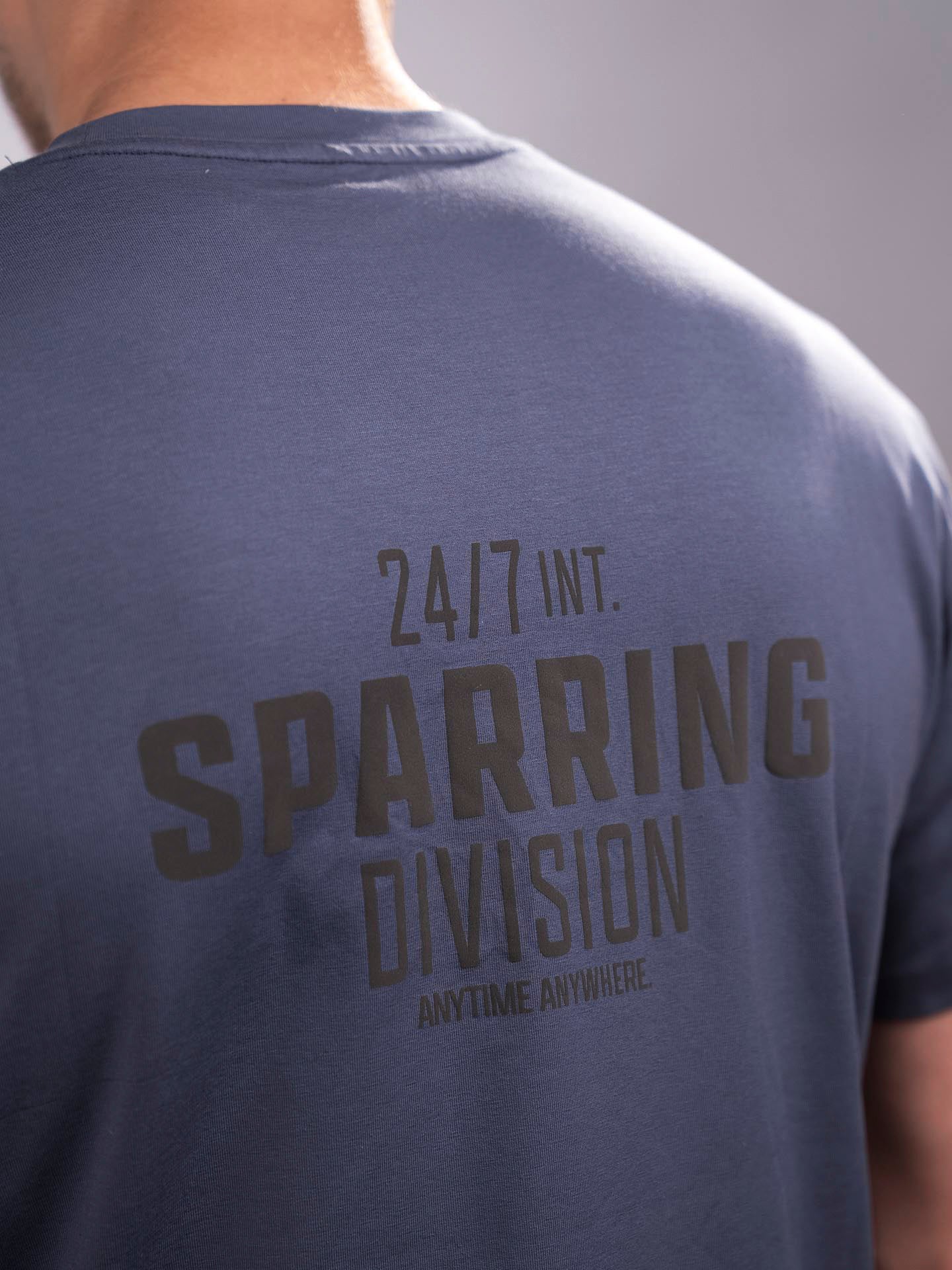 RINGLIFE T-Shirt, Sparring Division, grau - Image 8